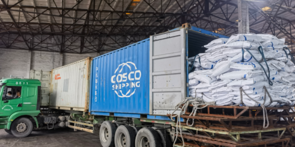 ?有机肥料可以走集装箱海运吗，，，，，，，，需要注重什么？？？？？？