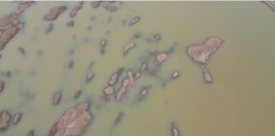 壹定发·(EDF)最新官方网站